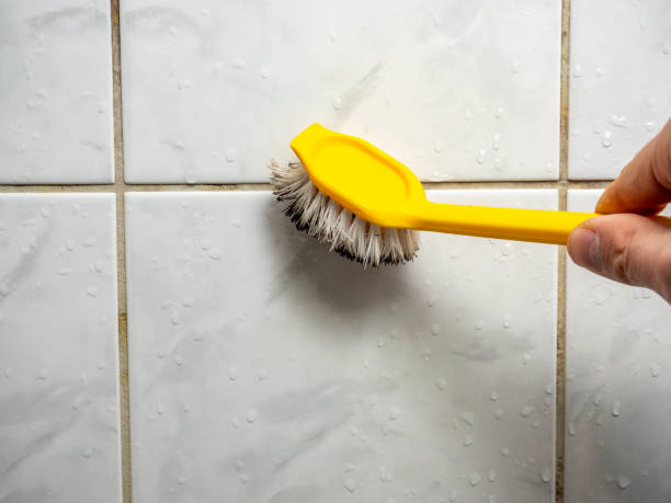 Certified Mold Removal in University City, MO