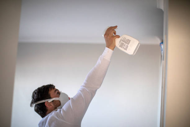 Best Best Mold Removal Companies  in University City, MO