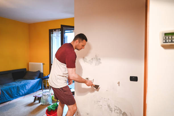 Trusted University City, MO Mold Removal Experts